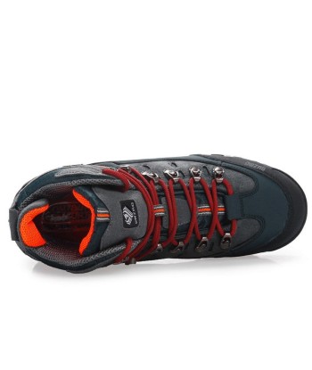 Scarpe da trekking Gtx Asfalto Comparez et commandez 